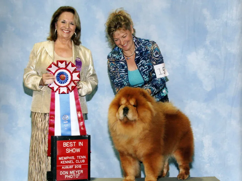 Imagine Chows photo 1