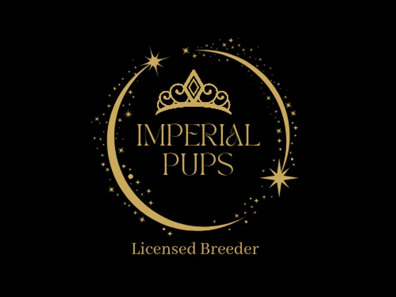 Imperial Pups photo 1