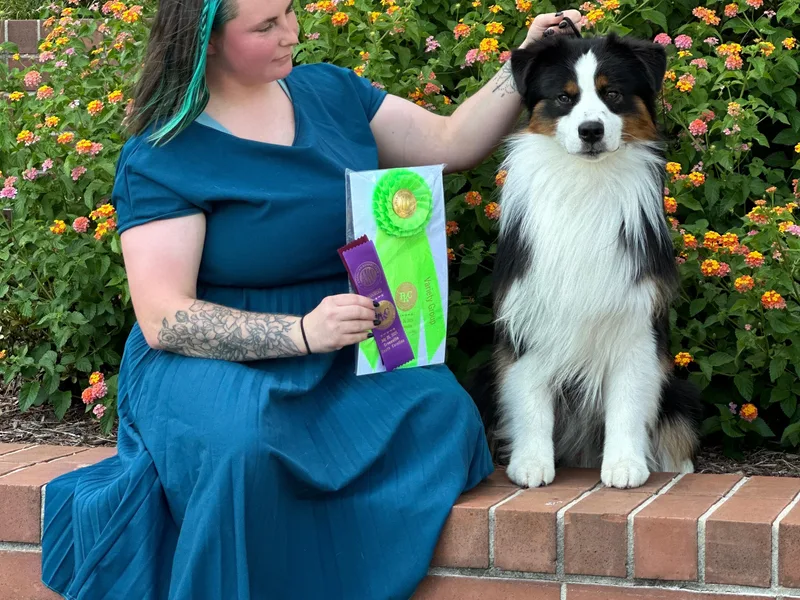 Incendia Aussies &amp; Dobies