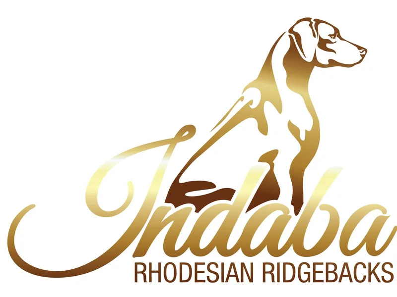 Indaba Rhodesian Ridgebacks
