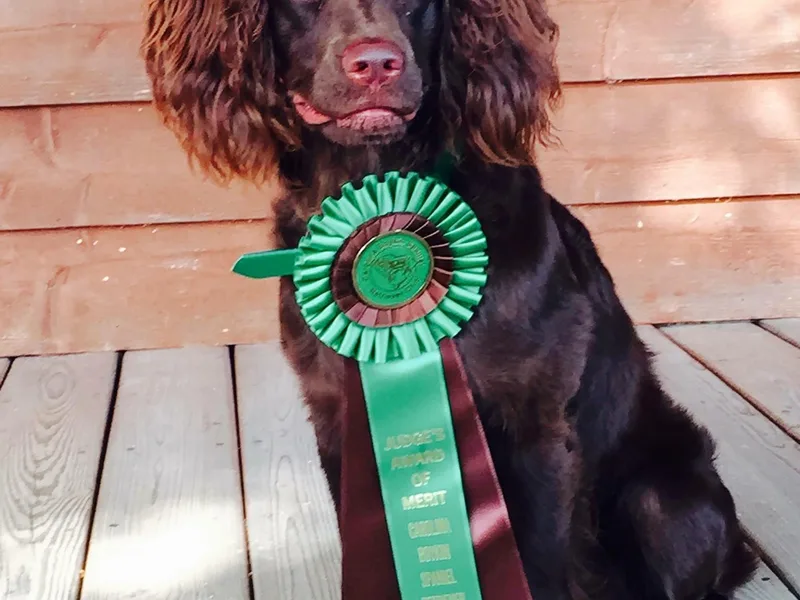 Indian Field Boykins