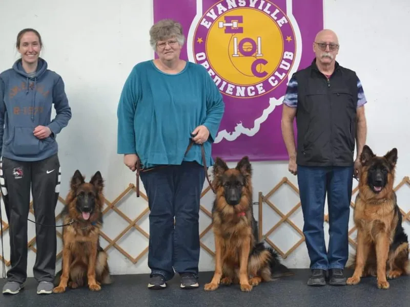 Indiana German Shepherds