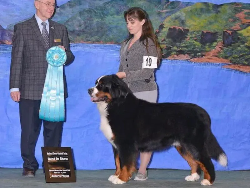 Indianland Mountain Dogs