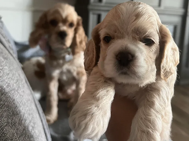 Inspirational Treasures