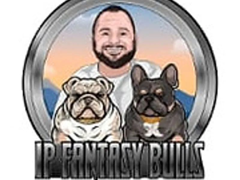 IP FANTASYBULLS