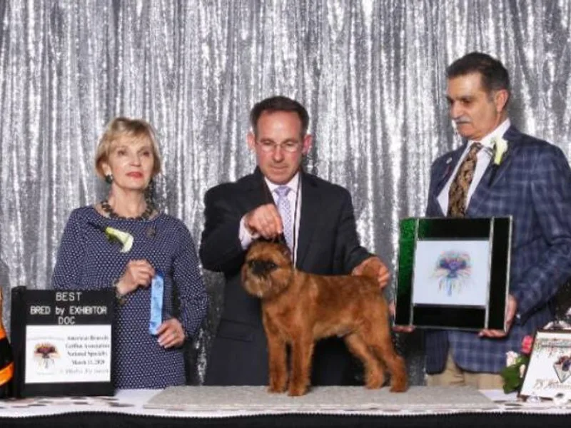 Iron Ridge Brussels Griffons