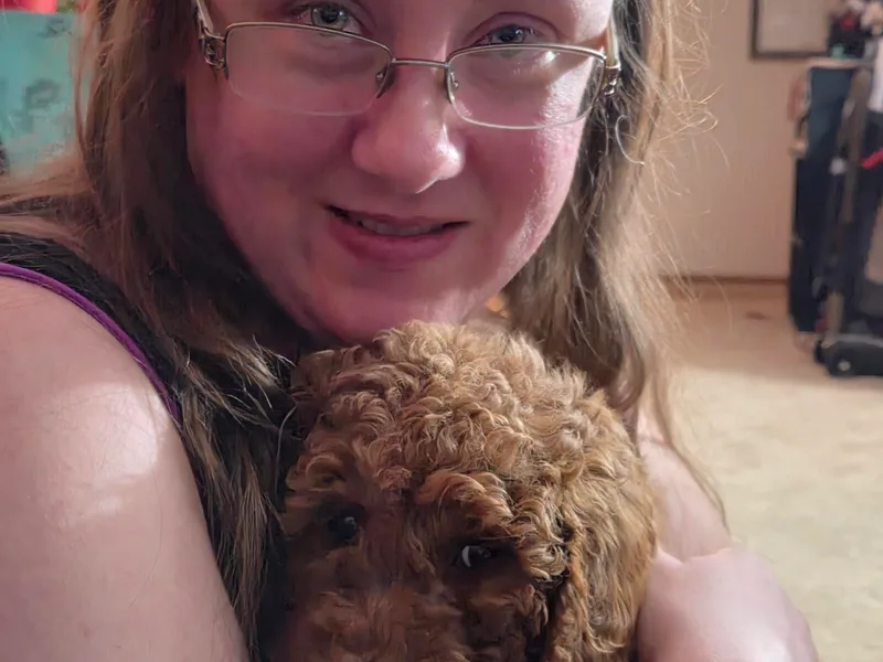 Ironstone Goldendoodles