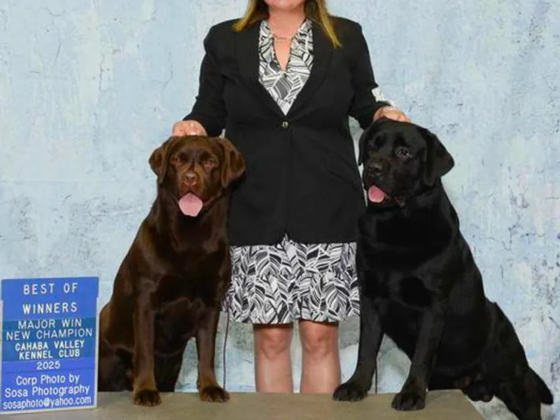 isabel wilcher wilcher