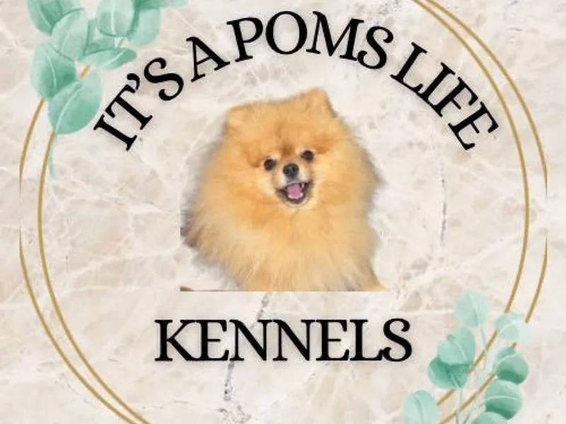 Its a Poms Life Kennel