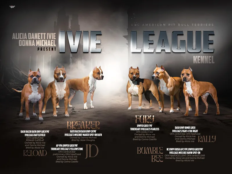 Ivie League Kennel