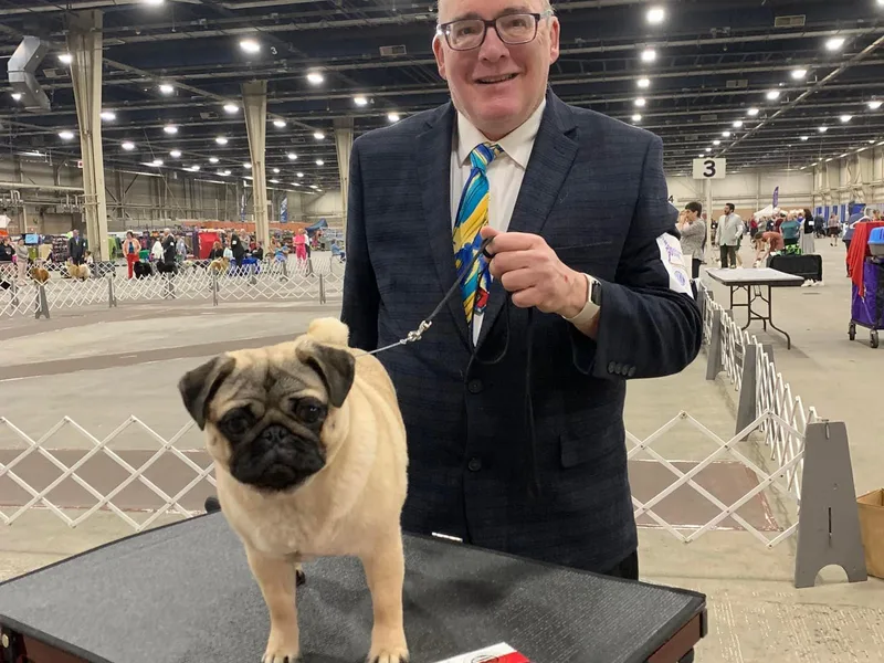 Ivyside Pugs