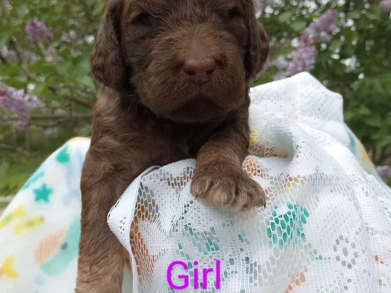 J &amp; K County Line