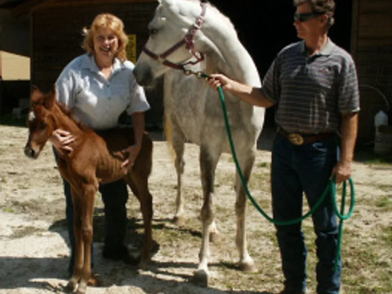Jalving Farms Great Danes