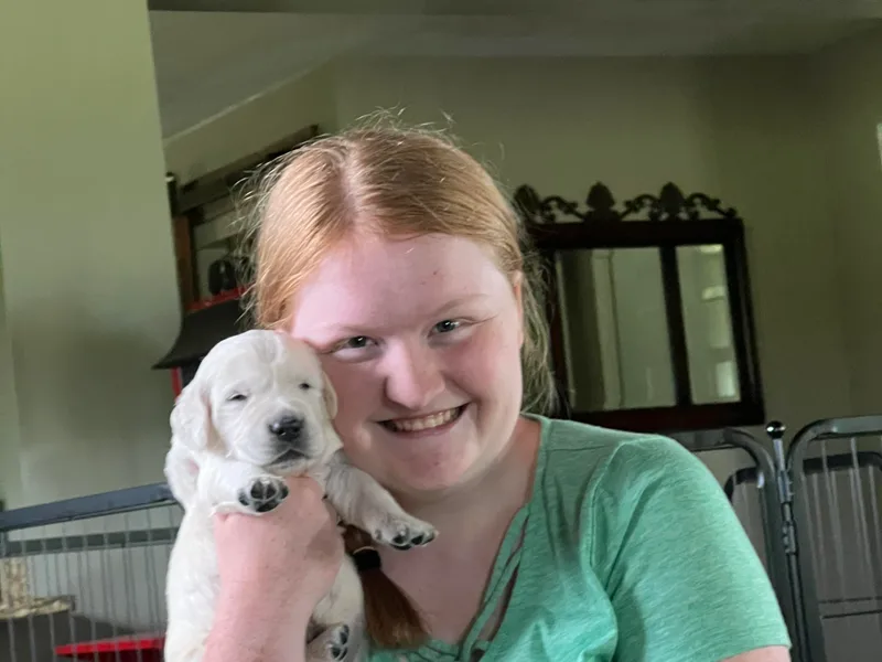 Janean's Golden Retrievers