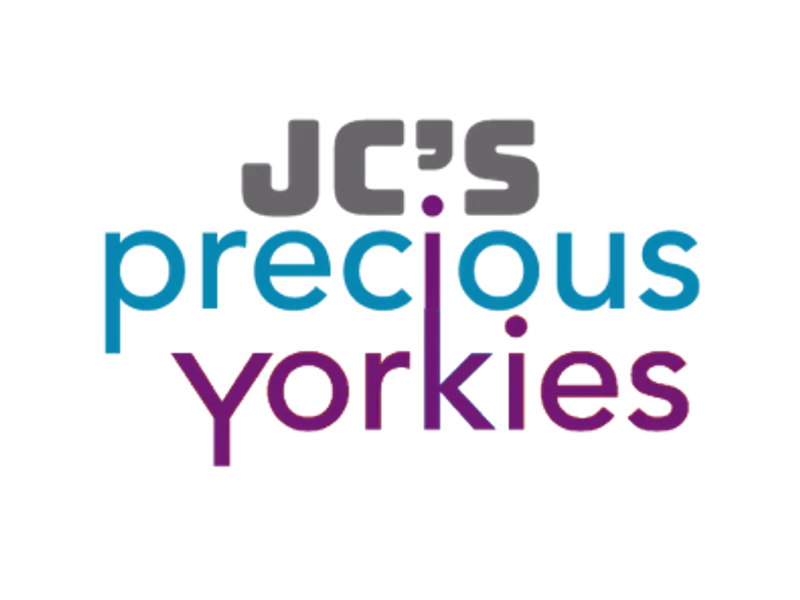 JC's Precious Yorkies