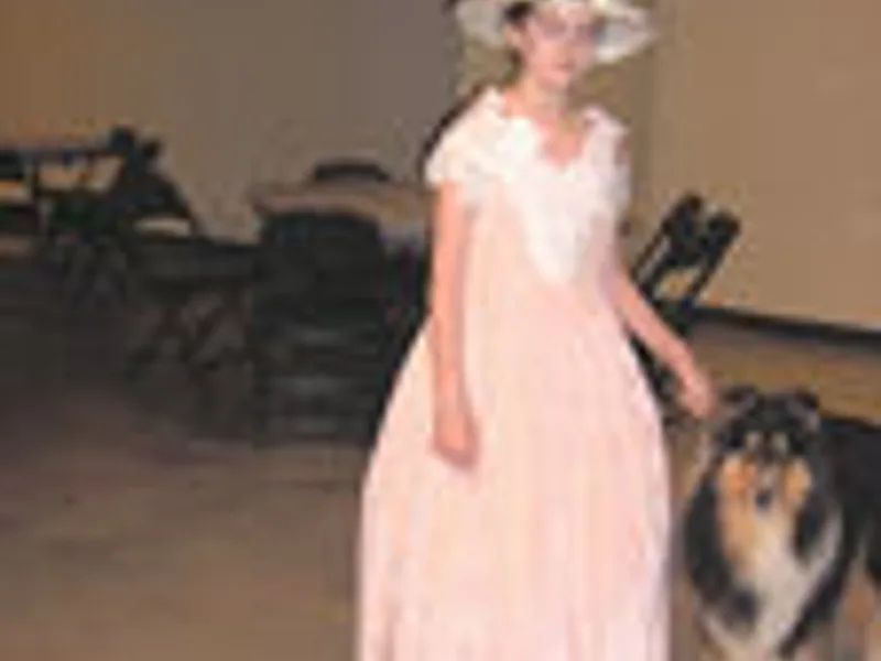 JEM'S Collies-Berger Picards