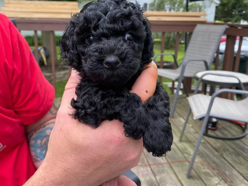 Jen’s Toy Treasures