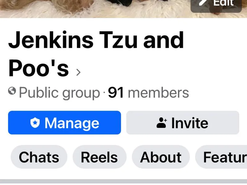 Jenkins Tzu and Poo’s