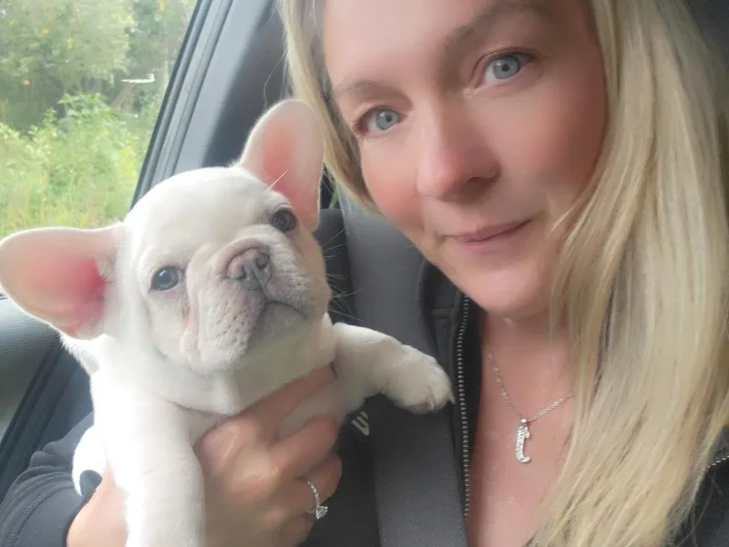 Jessicah's Frenchies Michigan's French Bulldog Breeder