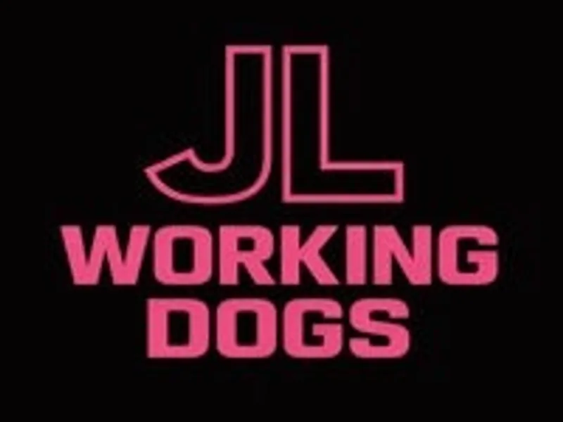 JL Patterdales photo 1