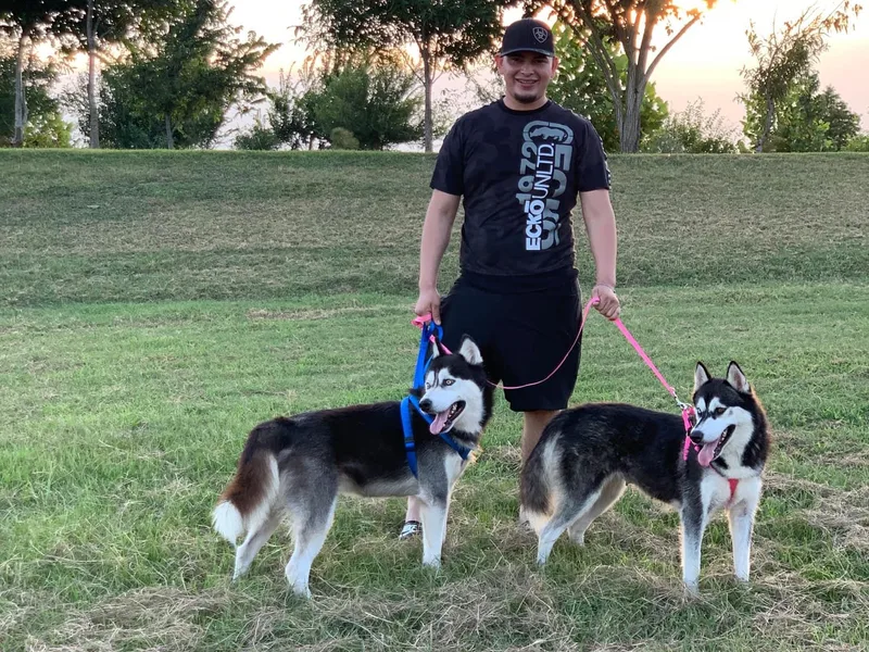 Joseline's Huskies