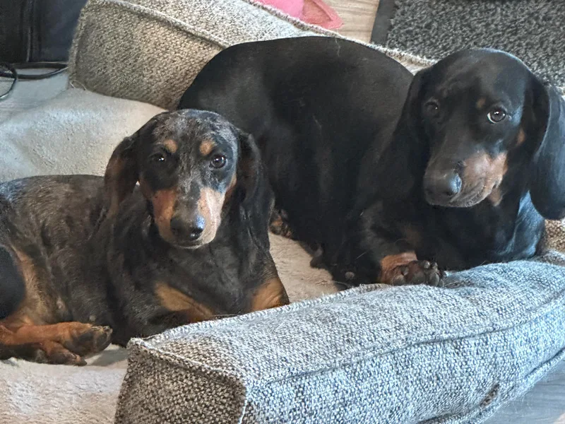 Jovi and Rose