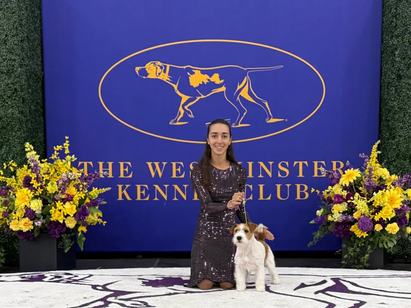 Jumping Jacks Russells