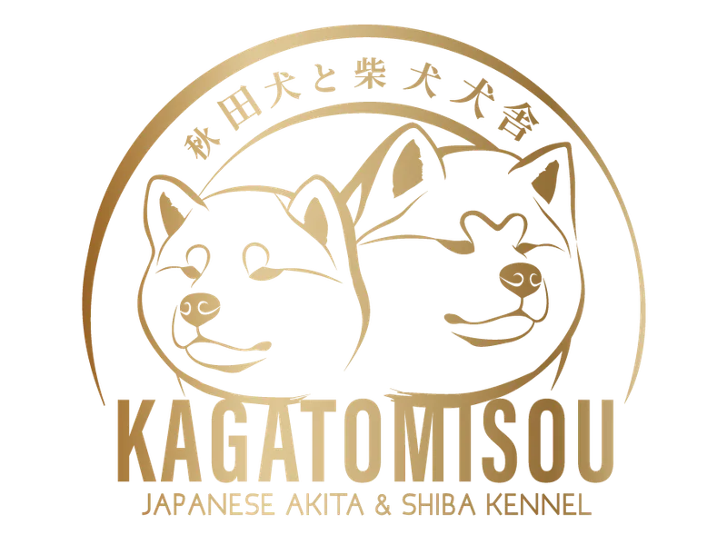 Kagatomisou photo 1