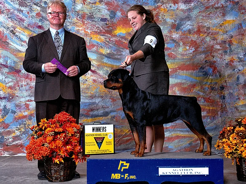 Kaiser Haus Rottweilers