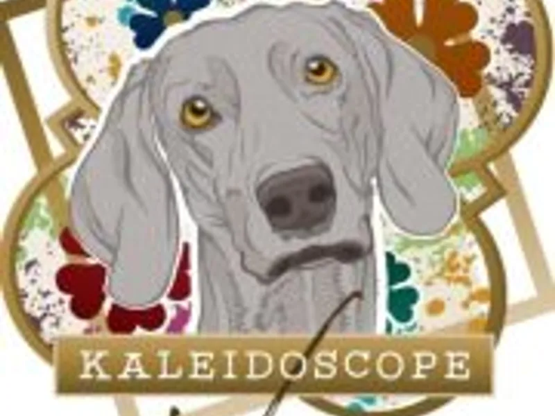 Kaleidoscope Weim's-AKC