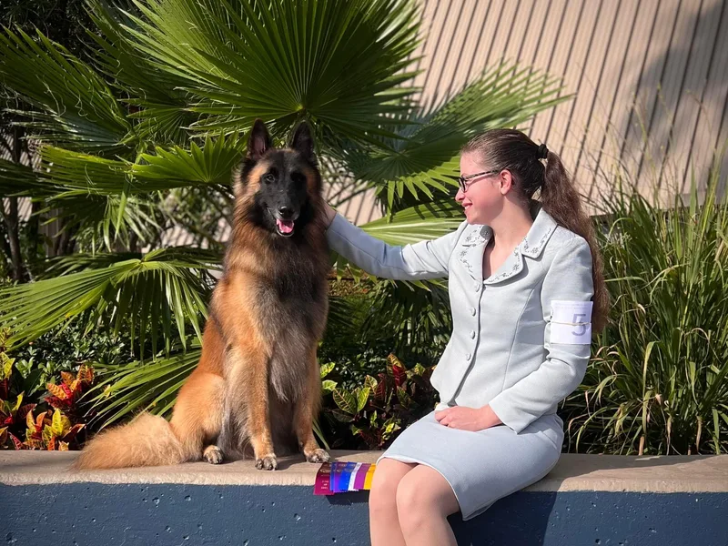 Kanna Belgian Tervuren
