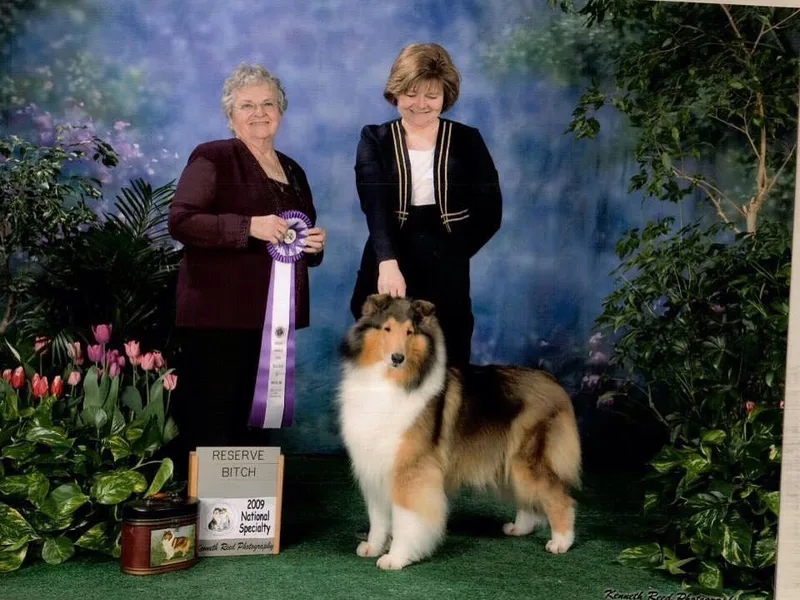 Kara Christo Collies