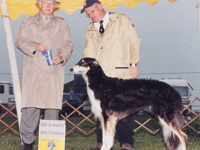 Karanoff Borzoi