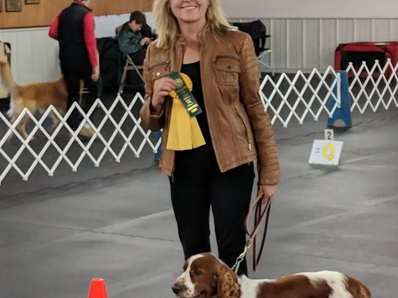 Karen Gaines' Welsh Springer Spaniels