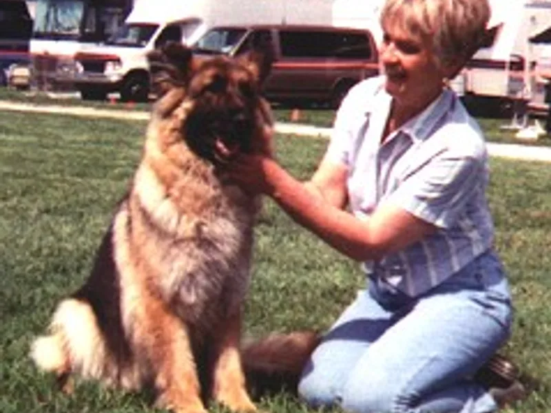 Karizma German Shepherd Dogs