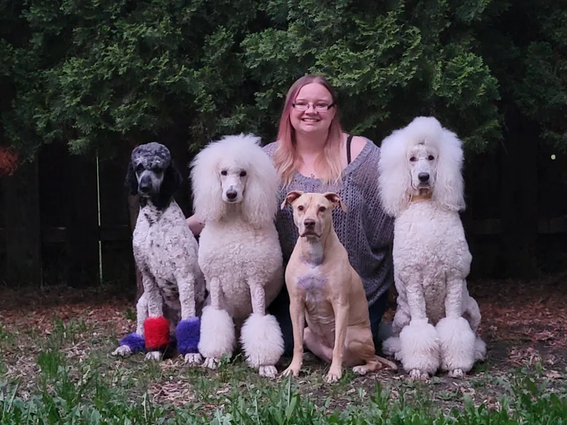 Kasora Poodles