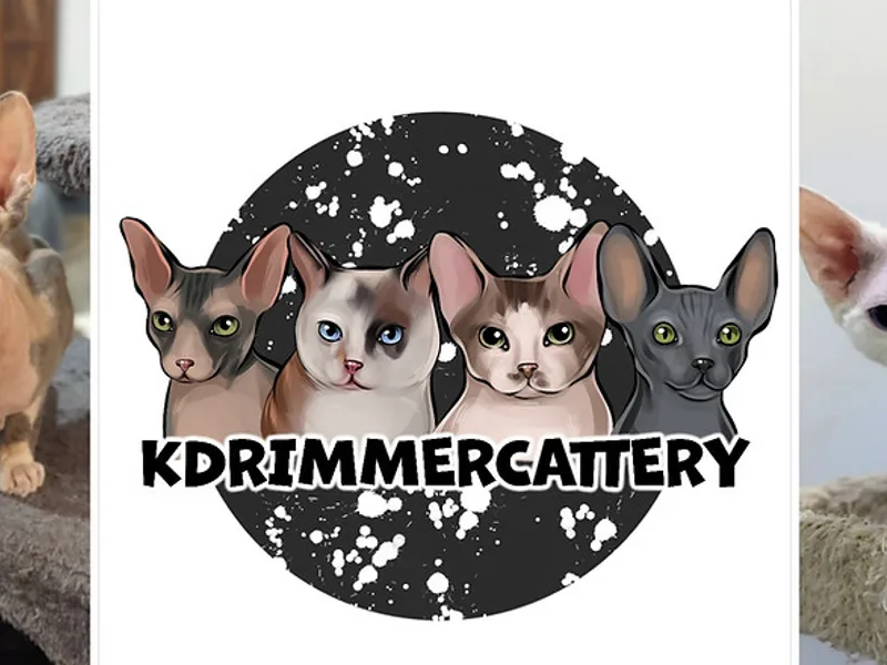 Kdrimmer photo 1