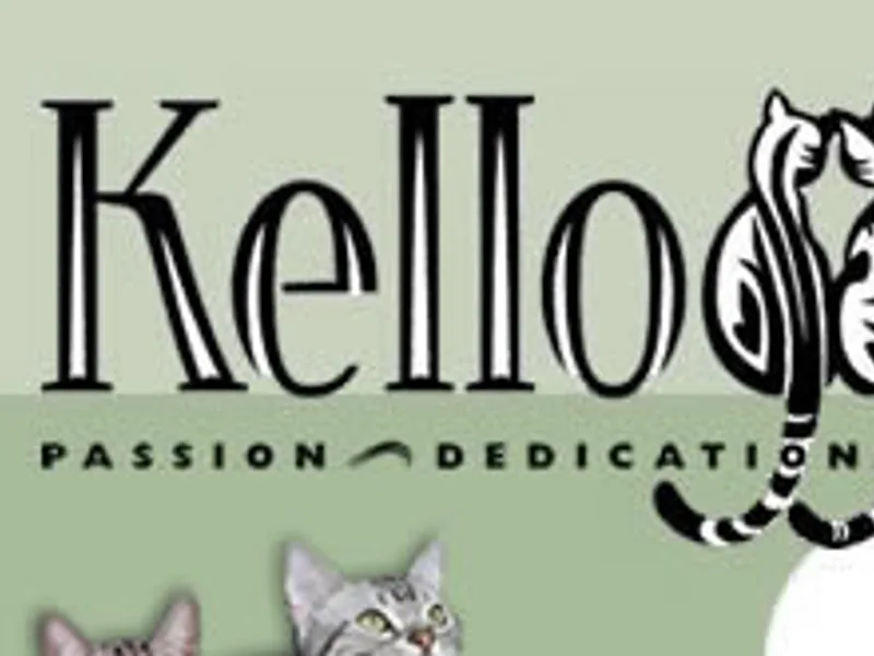 Kelloggs photo 1