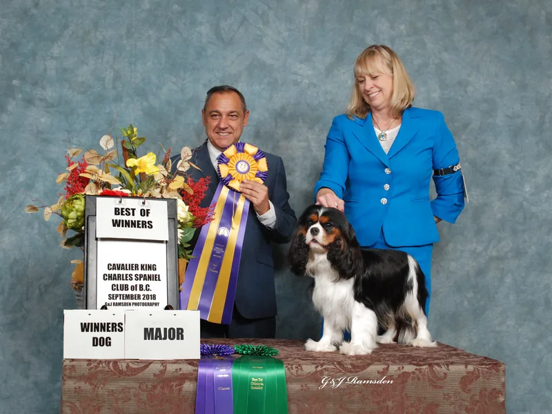 KENDALLKASTLE CAVALIERS