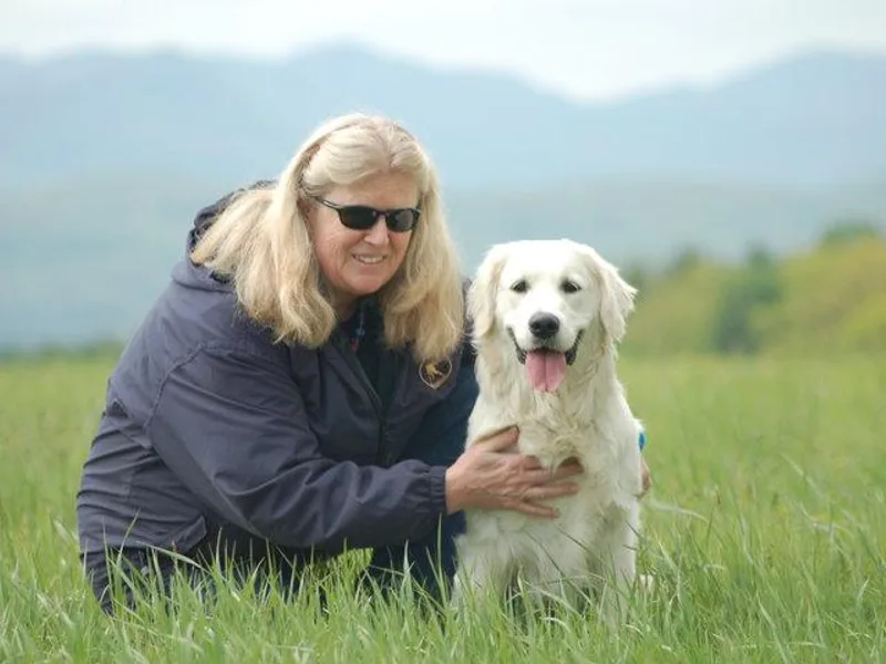 Kernow Goldens