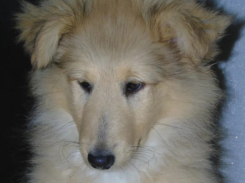 Keycharm photo 1