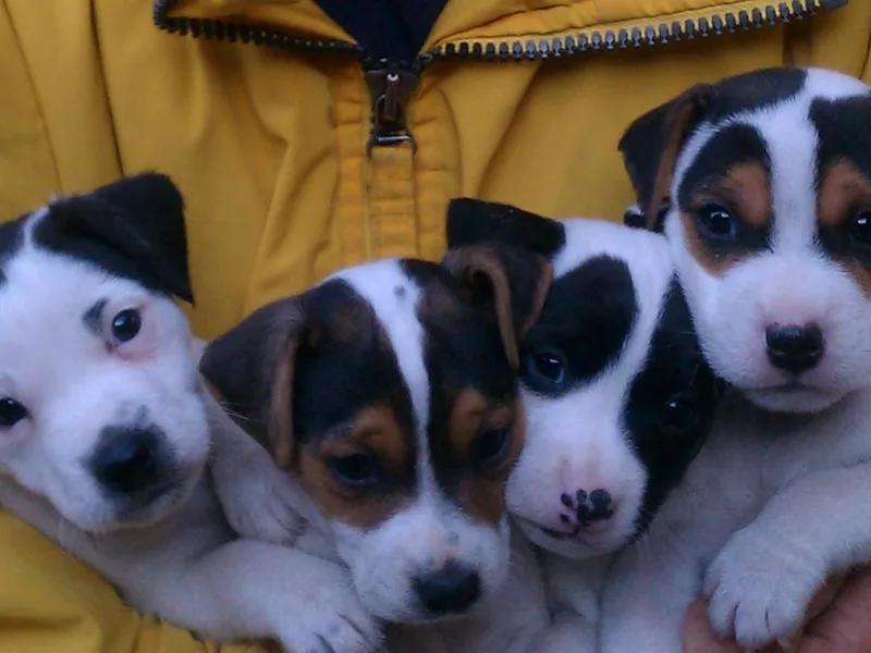 Kimberlite
