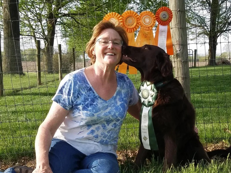 Kingsbridge Flat-Coated Retrievers