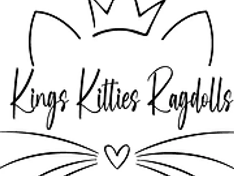 KINGSKITTIES
