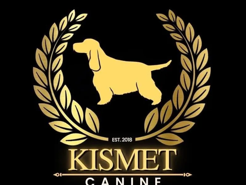KISMET CANINE photo 1