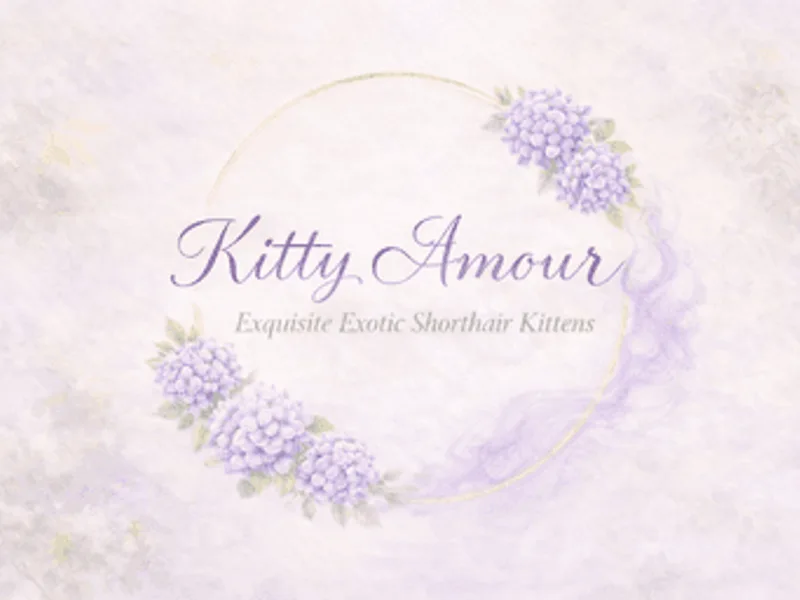 Kitty Amour photo 1