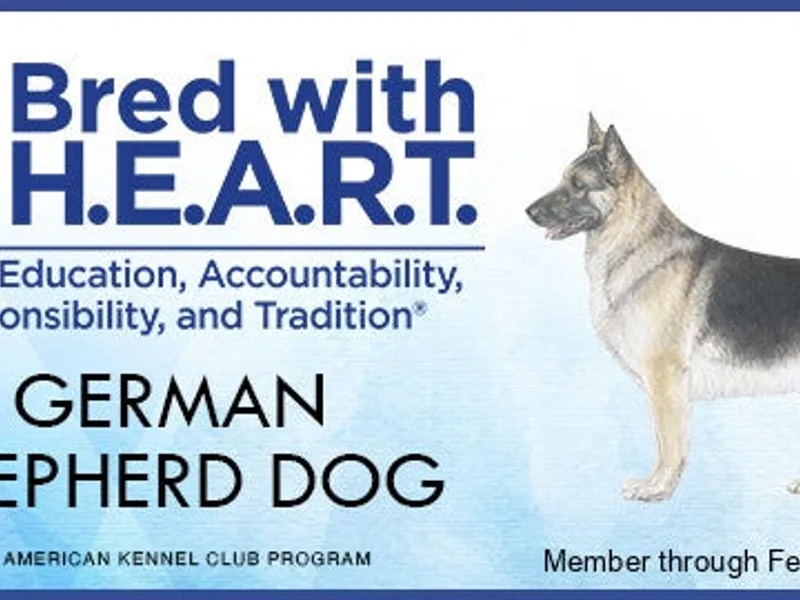 KLB German Shepherds