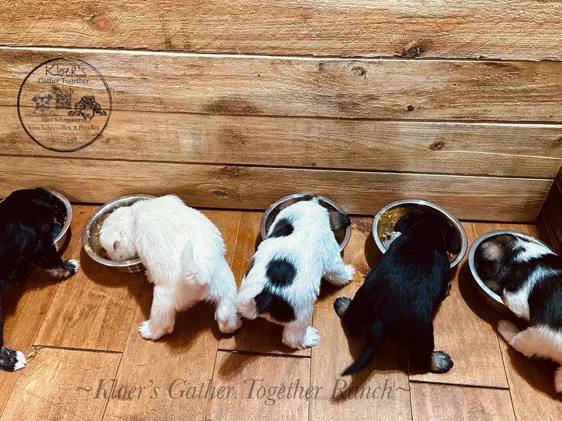 Kloer’s Gather Together Ranch