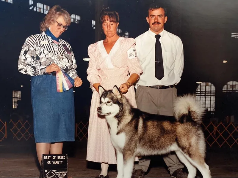 Knightmute-Nikos Malamutes