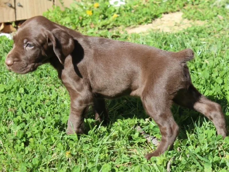 Knoll Creek GSP